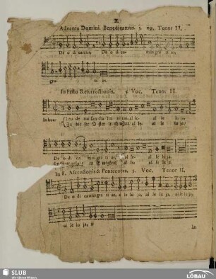 X. Anonymus: Benedicamus Domino