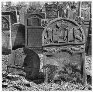Jüdischer Friedhof, Szydłowiec (Polen)
