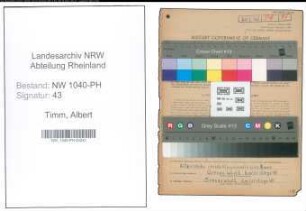 Entnazifizierung Albert Timm , geb. 12.04.1898 ()