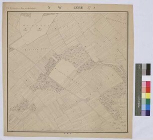 [Gemeindewaldung in der Steuergemeinde Birkenfeld, Topograph. Karte 1:2500]