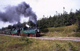 Die Harzer Schmalspurbahn : Ansicht der Harzer Schmalspurbahn, erste Fahrt nach Wiedereröffnung zum Brocken, ca. 1993