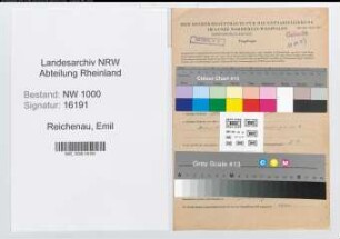 Entnazifizierung Emil Reichenau, geb. 05.12.1907 (Kaufmann)