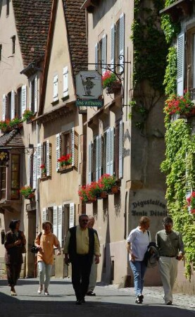 Frankreich. Alsace. Bas Rhin. Mittelbergheim