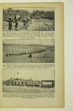 Kamelkarawane in der Sahara