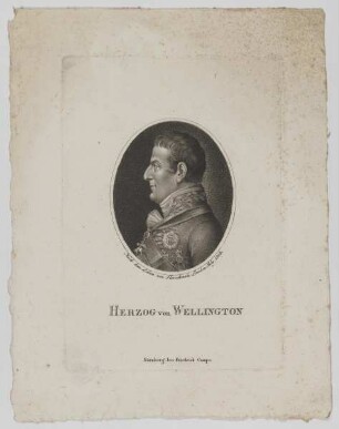 Bildnis des Arthur Wellesley von Wellington