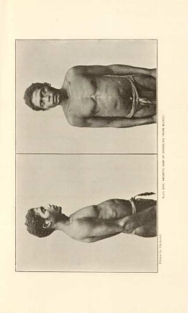 Plate XXV. Negrito man of Zambales (Pure blood)