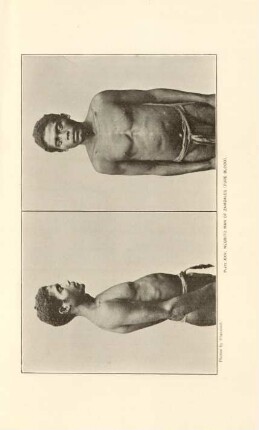 Plate XXV. Negrito man of Zambales (Pure blood)