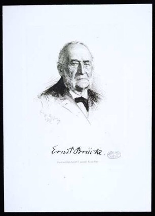 Brücke, Ernst Wilhelm von