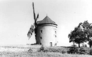Hochkirch-Rodewitz. Erdholländer