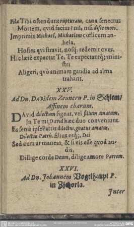 XXV. Ad Dn. Davidem Zeunern