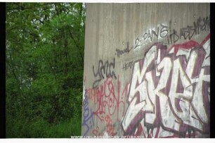 TmC