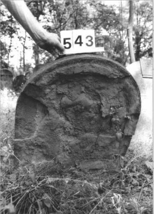 Grabstein 543