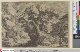 [Landschaft mit großem Baum und einem Reiter]