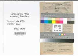 Entnazifizierung Bruno Patz , geb. 08.11.1913 (Kraftfahrer)