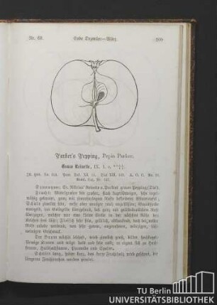 Nr. 69. Parker's Pepping, Pepin Parker.