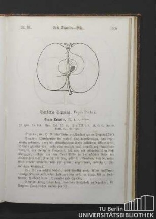 Nr. 69. Parker's Pepping, Pepin Parker.