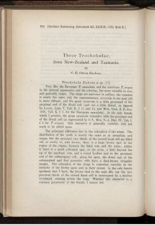 Three Trochobolae, from New-Zealand and Tasmania.