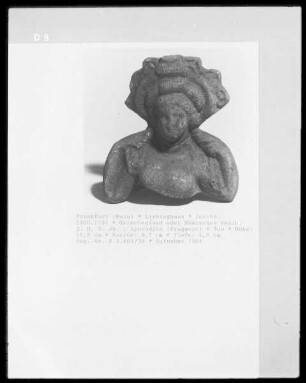 Aphrodite