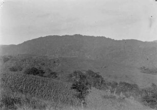 "Landschaft mit Karawane im Mittelgrund"