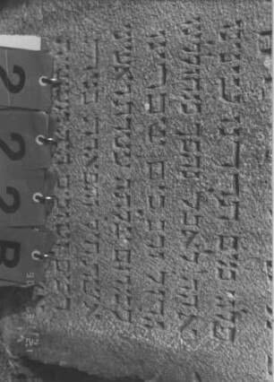 Grabstein 222 (Index: 100009148) Zustand: leicht eingesunken, Rückseite leicht verwittert Maße HxBxT: 108x62x10 cm: Grabstein 222C