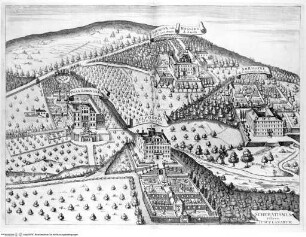 Athanasii Kircheri Latium, ..., 1. Falttafel vor Seite 79: ... Schematismus Villarum Tusculanarum.