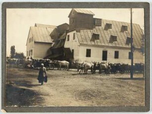Kunstmühle : Siebenbürgen (Rumänien). Kunstmühle (Getreidemühle). Straßenansicht (Eckansicht) mit Ochsengespannen