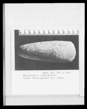 Walzenbeil : archäologischer Fund aus der Steinzeit