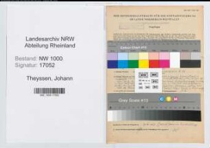 Entnazifizierung Johann Theyssen, geb. 26.07.1913 (Zollinspektor)