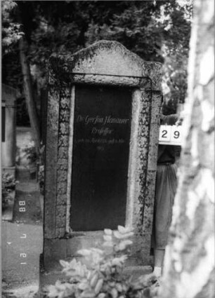 Grabstein 296