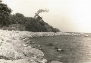 Samlandküste. Strand bei Brüsterort (Majak, Kaliningrad)