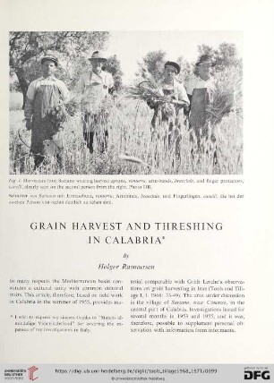 Grain harvest and threshing in Calabria