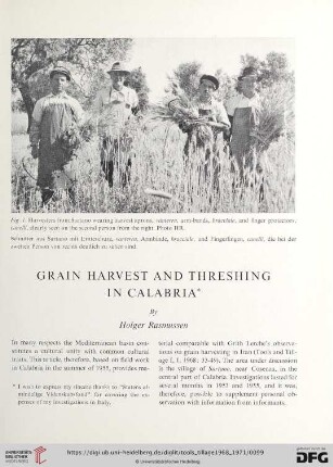 Grain harvest and threshing in Calabria
