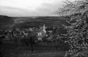 Achkarren: Kirchturm zwischen Blüten