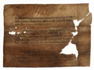 Agenda Moguntinensis (Druck)