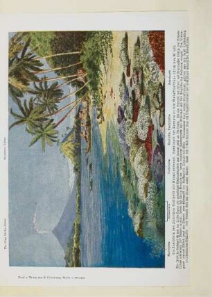 Vulkaninsel des Indischen Archipels mit Korallenstrand. Landschaft bei Ternate an der Molukkenstraße östlich von Gilolo