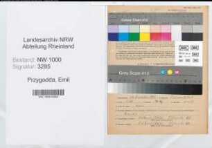 Entnazifizierung Emil Przygodda, geb. 22.12.1901 (Pastor)