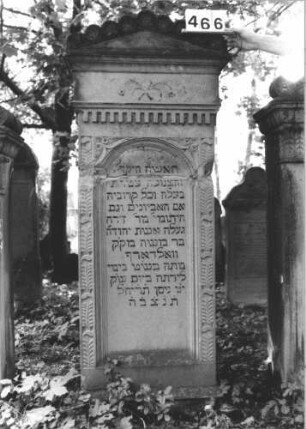 Grabstein 466