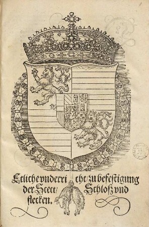 Etliche underricht zu befestigung der Stett, Schlosz und flecken