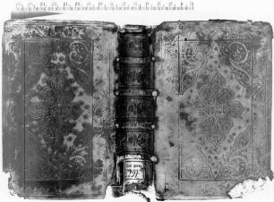 Stammbuch eines ungenannten bayrischen Adelichen (Bd. 1) - BSB Cgm 3297 a