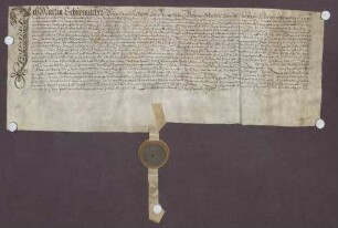 Martin Schumacher zu Ringsheim verkauft an Schultheiß und Gericht zu Ringsheim einen jährlichen Zins von 3 Schilling straßb. Pfennige von genannten Reben zu Ringsheim um 3 Pfund straßburg. Pfennige.