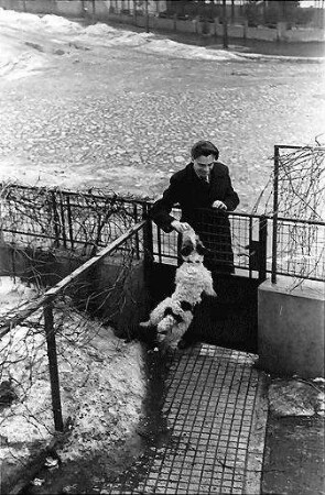 Bukarest: Pu und [Hund] Bobby, springt an der Haustür hoch