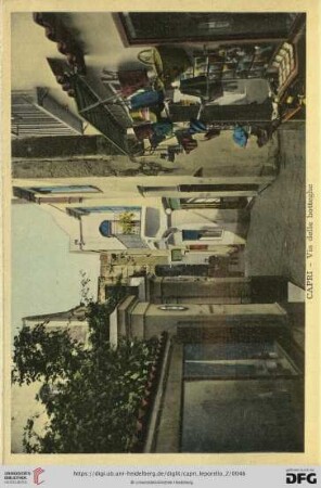 Capri – Via delle botteghe – La rue des boutiques – The Shops’ Street – Strasse der Kauflaeden
