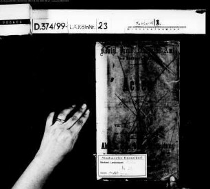 Pferde - Eisenbahn