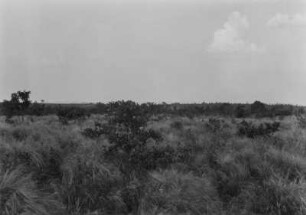 Landschaftsaufnahme : Blick über die Landschaft nördlich von Rio Claro.