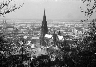 Freiburg: Blick vom Schlossberg auf Münster und Stadt
