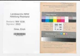 Entnazifizierung Erich Gries , geb. 03.09.1913 (Verwaltungsangestellter)
