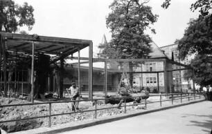 Bau eines Freigeheges für die Raubkatzen im Karlsruher Zoo.