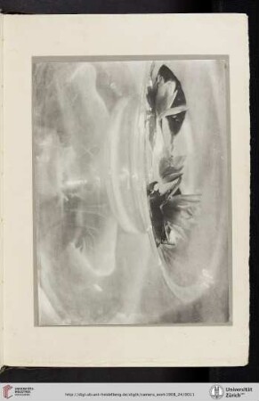 [Baron Adolphe de Meyer, II. Still Life, photogravure]