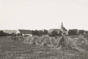 Hirschfeld, OT von Reinsberg. Blick über ein Feld mit Getreidepuppen auf Ort mit Pfarrkirche nach Nordosten