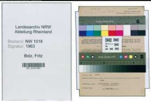Entnazifizierung Fritz Bolz , geb. 16.07.1893 (Arbeiter)